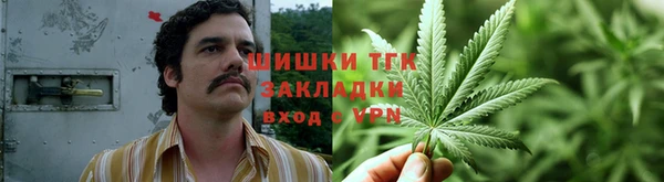 крисы Абдулино