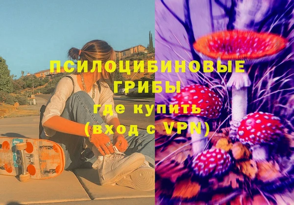 бошки Алзамай