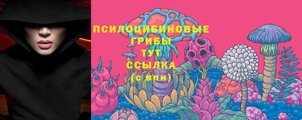 бошки Алзамай